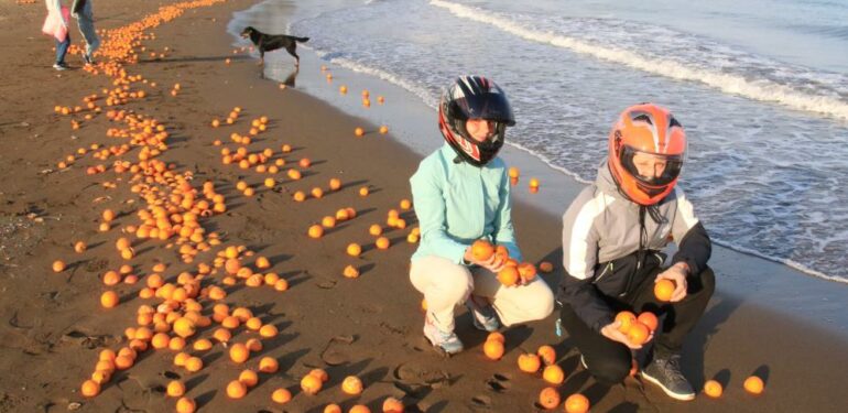 Mersin’de sahil portakal doldu
