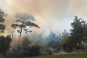 TARSUS'TA ORMAN YANGINI