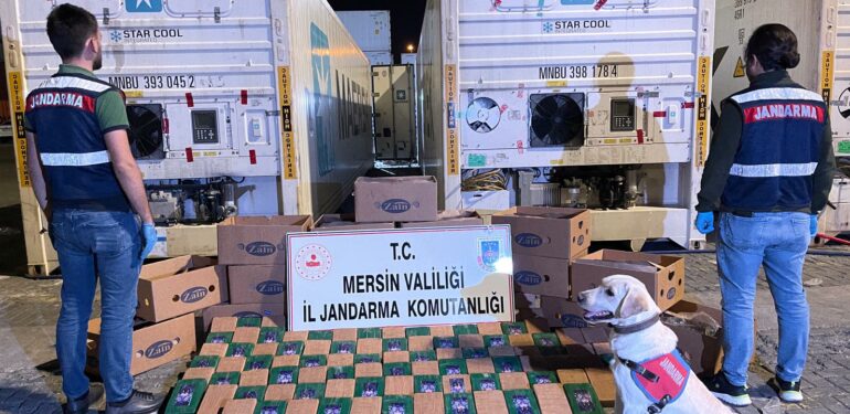 Mersin’de muz kolileri içerisine gizlenmiş 258 kilo kokain ele geçirildi