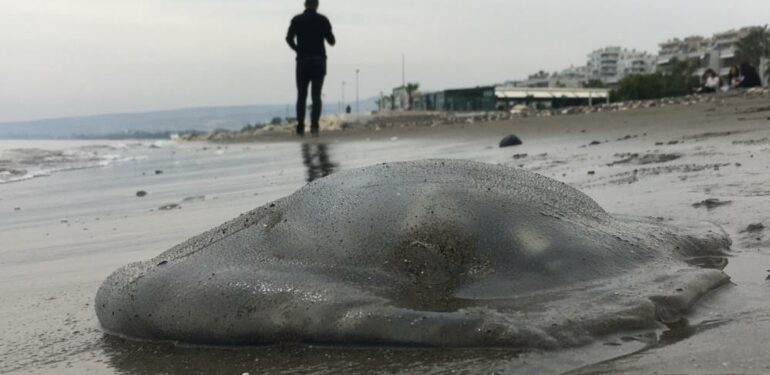 Kıyının her yerinde, dokunanı yakıyor