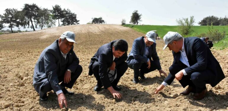 Tarsus’ta yerli ve milli yağlık ayçiçek tohumu ekildi