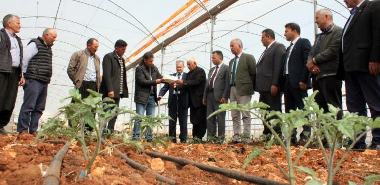 Domates üreticilerine feromon tuzak dağıtıldı