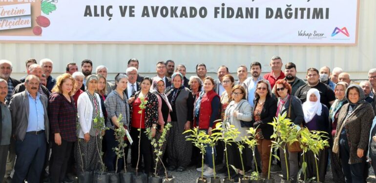 Mersin’de 105 üreticiye avokado ve alıç fidanı desteği