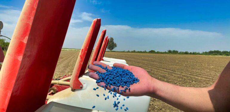 Tarsus’ta pamuk yeniden boy verecek