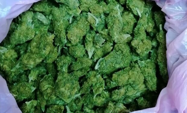 Mersin Limanı’nda 5 kilo 800 gram skunk ele geçirildi