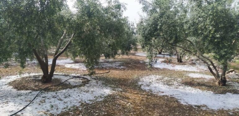 Tarsus’ta dolu ve fırtına etkili oldu