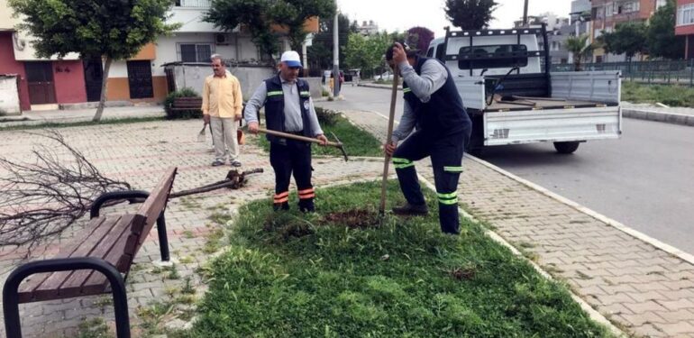 Akdeniz’de yenileme çalışmaları aralıksız sürüyor