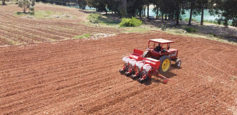 Tarsus Belediyesinden hayvan besicilerine silajlık mısır desteği