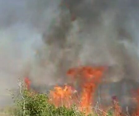 Temizlik işçisinin dikkati meyve bahçesinin yanmasını önledi