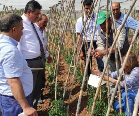 Tarsus’ta biyoteknik mücadele için çiftçilere tuzak dağıtıldı