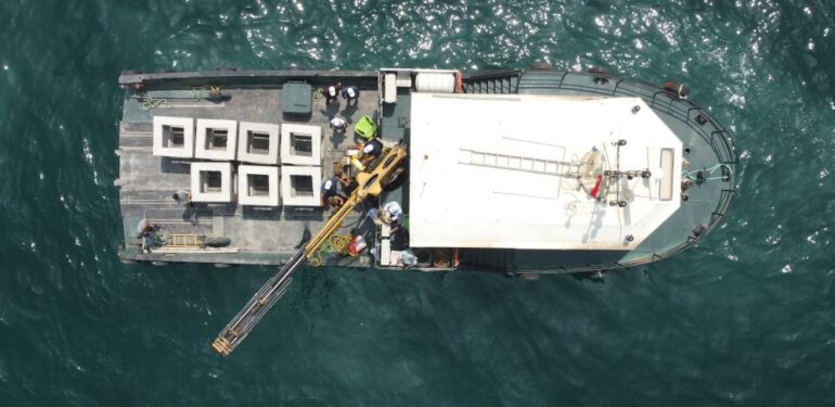 Balıkların üremesi için yüzlerce yapay resif denize indirildi