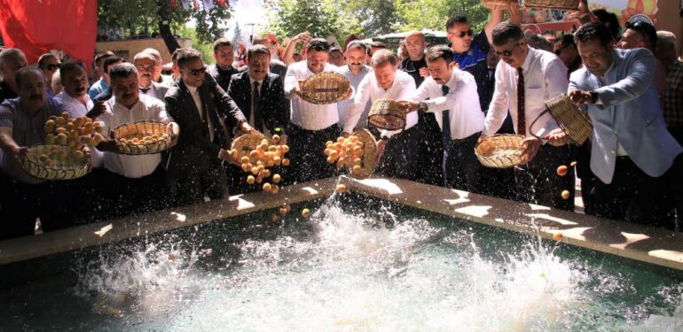 Mut Karacaoğlan Kayısı Festivali renkli anlara sahne oldu