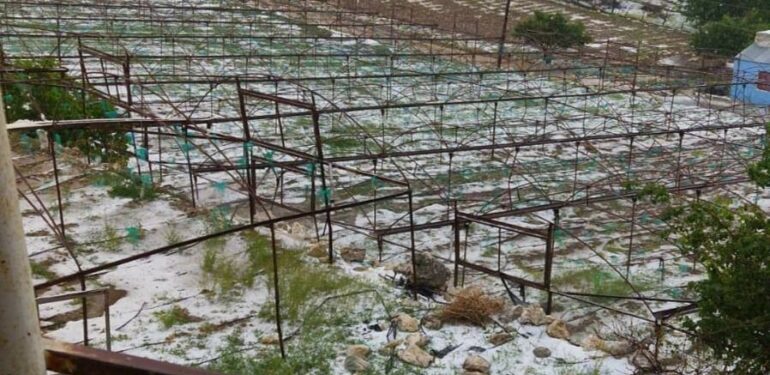 Mersin’de dolu 10 dakikada bahçelere zarar verdi