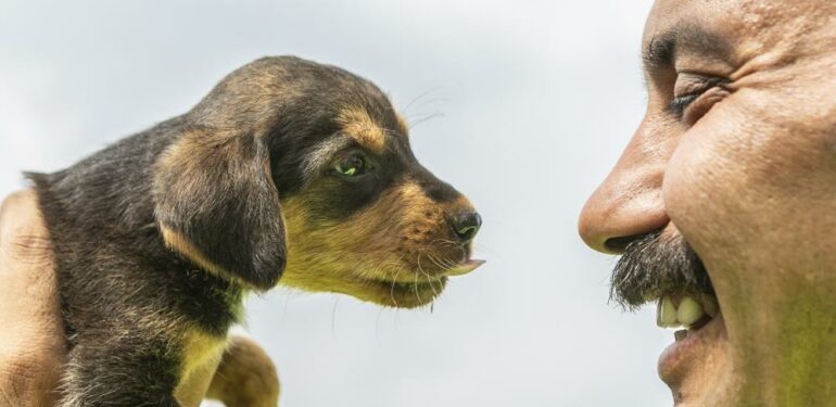 Mersin’de 2 gün çukurda mahsur kalan köpek kurtarıldı