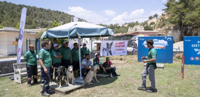 Mersin’de köpek eğitim alanı kuruldu