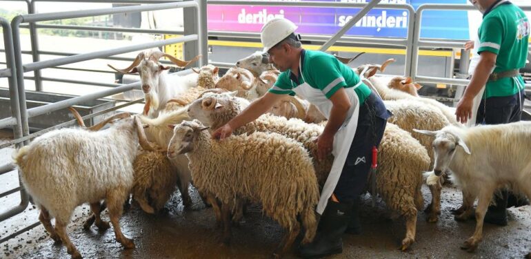 Mersin’de şehitler için kurban kesildi