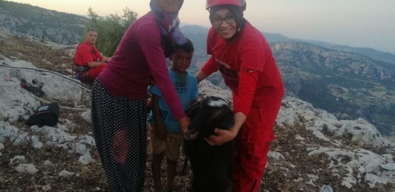 Kayalıklarda mahsur kalan 2 keçi, kurtarıldı