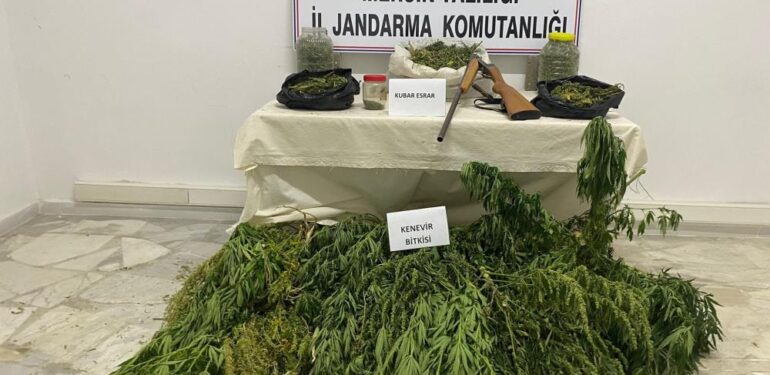 Çadıra uyuşturucu operasyonu