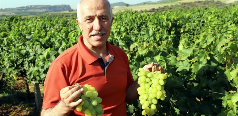 Başkan Gültak, Mersinlileri Üzüm Şenliğine davet etti