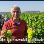 Screenshot_20220718_160852