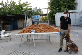 490e7aab-5e00-429f-ab1f-ffc7688bf069