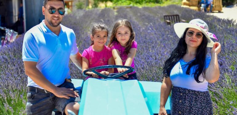 Mersin’de köylüler lavantayı sevdi