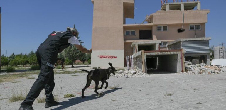 K9 eğitmenleri Mersin’de ortak çalışma yaptı