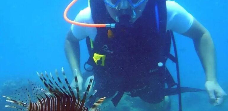 Akdeniz’in istilacı türü “Aslan balığı” ekonomiye kazandırılıyor