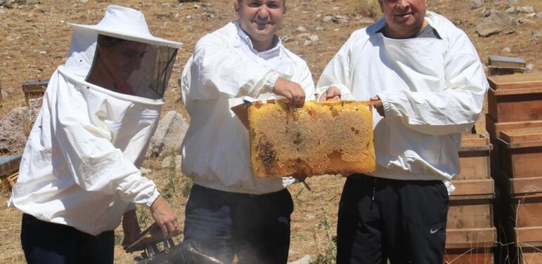 Petekler balla doldu, üreticinin yüzü güldü