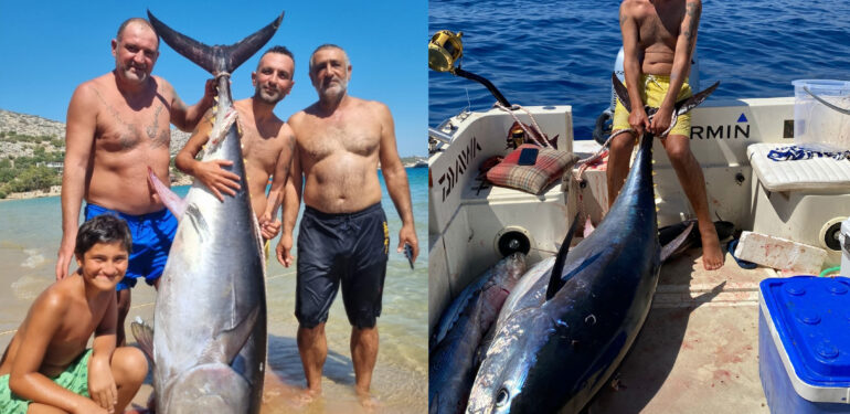 MERSİN’DE DEV ORKİNOS BALIĞI YAKALANDI