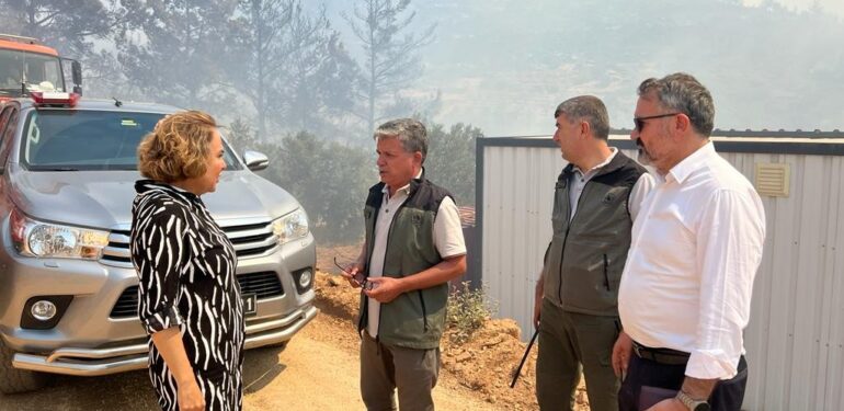 AK Parti’li Yılmaz yangın bölgesinde incelemelerde bulundu