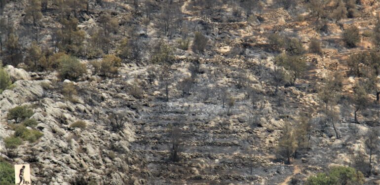 Mersin’deki orman yangını, küle dönen bölge havadan görüntülendi