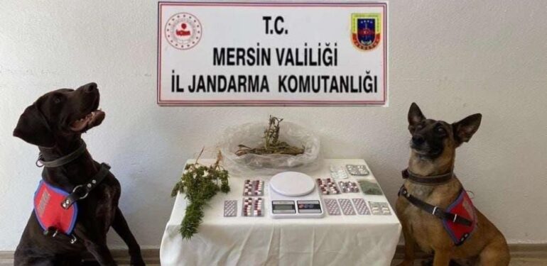 Mersin’de uyuşturucu operasyonu: 1 tutuklama