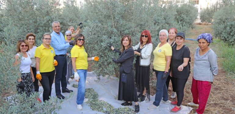 Zeytinler kız çocukları için toplandı