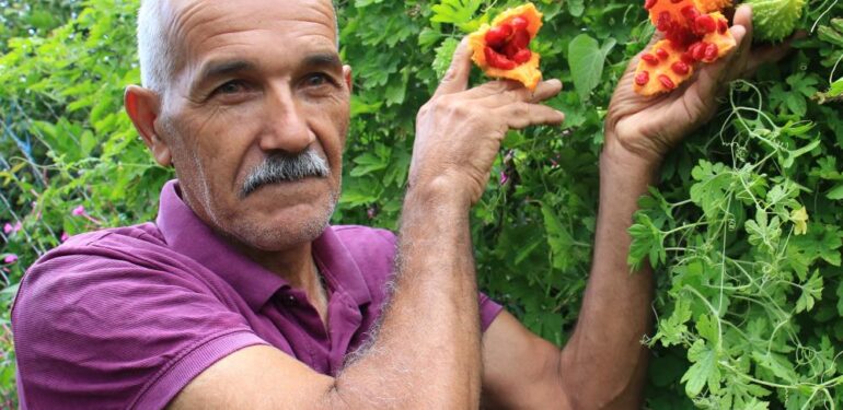 Kısmeti bahçesine geldi, şimdi tane tane satıyor para kazanıyor