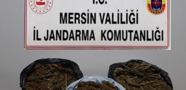 Mersin’de 10 kilo 248 gram skunk ele geçirildi
