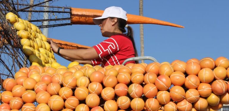 Mersin, Narenciye Festivali’ne hazırlanıyor
