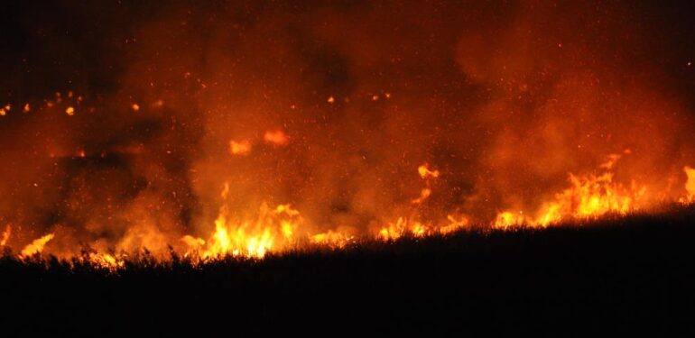 Uluslararası koruma altında bulunan Göksu Deltası’nda yangın