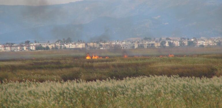 Göksu Deltası’ndaki yangın kendiliğinden söndü