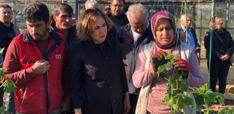 Yılmaz, Silifke’de doludan zarar gören seralarda incelemelerde bulundu