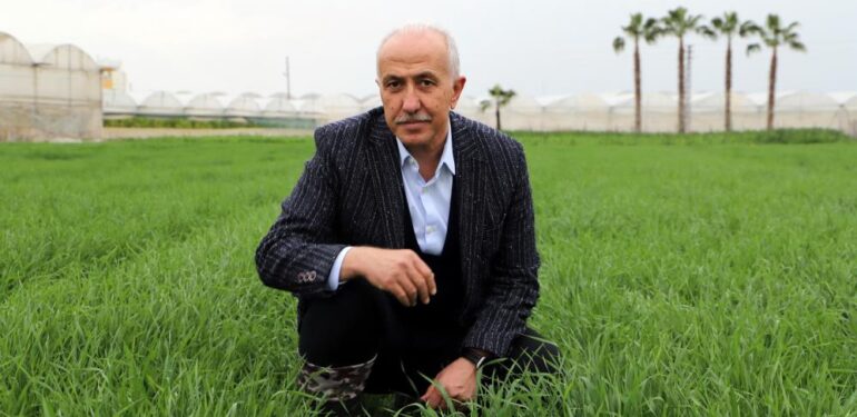 Deneme amaçlı ekilen atalık karakılçık buğdayı tohumu boy verdi