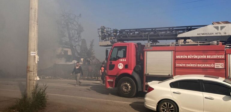 Yangın devasa ağacı sardı, ekiplerin müdahalesi ile eve sıçramadan söndürüldü