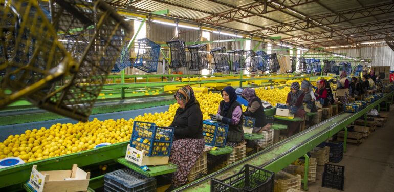 Mersin’den deprem bölgesine 160 ton narenciye ürünü gönderildi