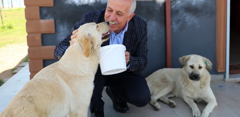 Akdeniz’de can dostlara özel etkinlik