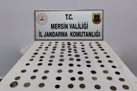 WhatsApp Image 2023-05-26 at 11.00.55