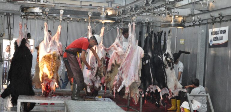 BÜYÜKŞEHİR’DEN KURBAN KESİMİ HİZMETİ BU YIL DA SÜRDÜ