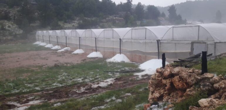 ERDEMLİ’DE MEYDANA GELEN SEL BAHÇELERE ZARAR VERDİ.