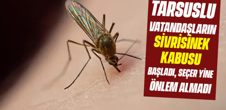 TARSUSLU VATANDAŞLARIN SİVRİSİNEK KABUSU BAŞLADI, SEÇER YİNE ÖNLEM ALMADI