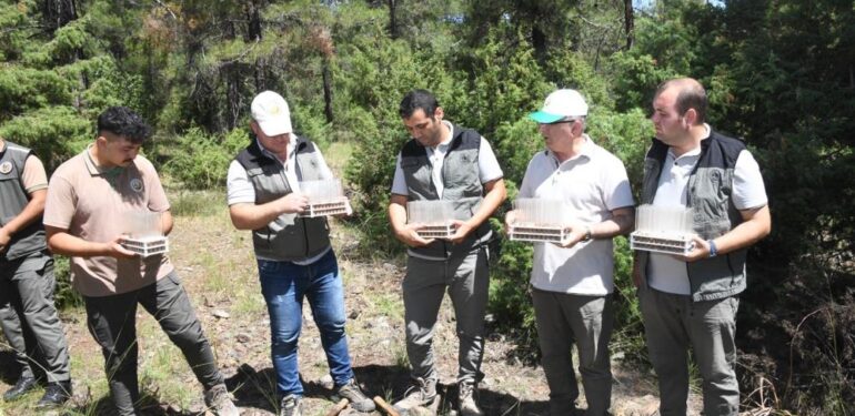 DUMANSIZ YANGINA KARŞI BİYOLOJİK MÜCADELE BAŞLADI
