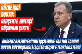 mobilhaberci şablon